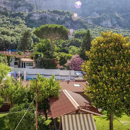 Maison Rosa アパート メタ